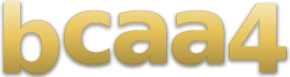 bcaa4 logo